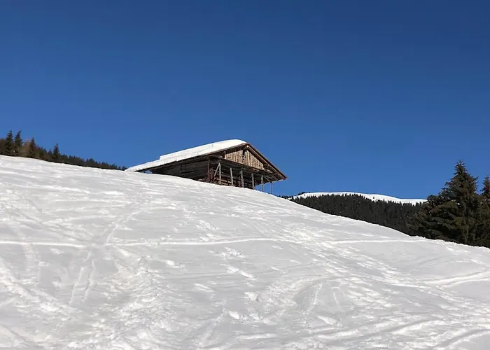 Casa D\'Ambros